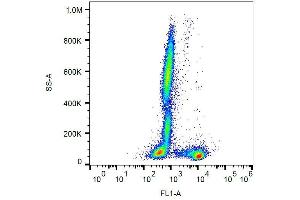Surface staining of human peripheral blood cells with anti-human CD27 (LT27) FITC.