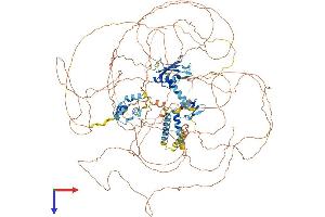 AlphaFold protein structure predicition of Human Recombinant RBM20 Protein, UniprotID Q5T481