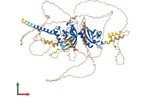 AlphaFold protein structure predicition of Human Recombinant EPAS1 Protein, UniprotID Q99814