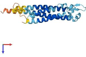 Transmembrane 4 L Six Family Member 1 (TM4SF1) (AA 1-202) protein (His tag)