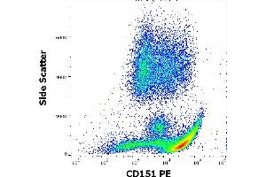 Flow cytometry surface staining pattern of human peripheral whole blood stained using anti-human CD151 (50-6) PE antibody (10 μL reagent / 100 μL of peripheral whole blood). (CD151 anticorps  (PE))