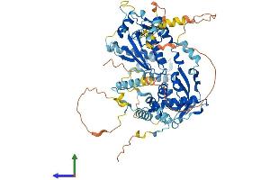 AlphaFold protein structure predicition of Human Recombinant ECD Protein, UniprotID O95905