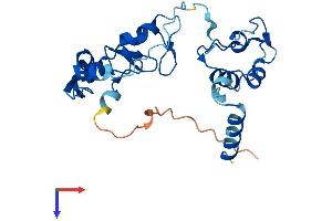 AlphaFold protein structure predicition of Mouse Recombinant Rnf166 Protein, UniprotID Q3U9F6