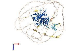 AlphaFold protein structure predicition of Mouse Recombinant Epb41l3 Protein, UniprotID Q9WV92