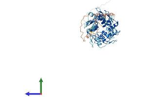 AlphaFold protein structure predicition of Human Recombinant ZNF678 Protein, UniprotID Q5SXM1