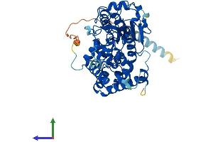 AlphaFold protein structure predicition of Mouse Recombinant Pxylp1 Protein, UniprotID Q8BHA9