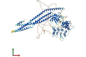 AlphaFold protein structure predicition of Human Recombinant ASAP3 Protein, UniprotID Q8TDY4