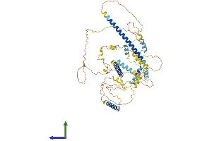 AlphaFold protein structure predicition of Human Recombinant FSIP1 Protein, UniprotID Q8NA03