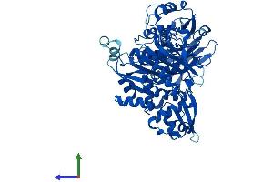 AlphaFold protein structure predicition of Mouse Recombinant Farsb Protein, UniprotID Q9WUA2