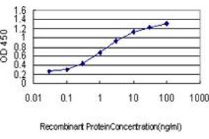 Detection limit for recombinant GST tagged BTBD9 is approximately 0. (BTBD9 anticorps  (AA 2-70))