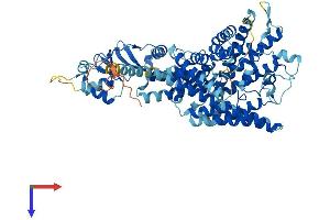 AlphaFold protein structure predicition of Mouse Recombinant Clcnkb Protein, UniprotID Q9WUB6