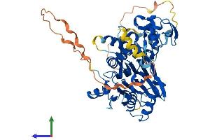 AlphaFold protein structure predicition of Human Recombinant PPM1J Protein, UniprotID Q5JR12