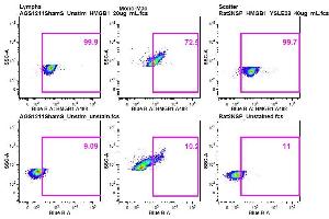 Ab staining on AGS & Rat cells, Panel 3 - HMGB1 A488 (HMGB1 anticorps  (AA 75-170) (Alexa Fluor 488))