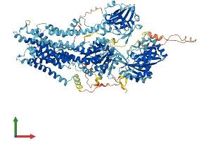 AlphaFold protein structure predicition of Human Recombinant ATP8B2 Protein, UniprotID P98198