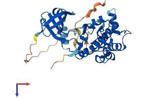 AlphaFold protein structure predicition of Human Recombinant AURKC Protein, UniprotID Q9UQB9