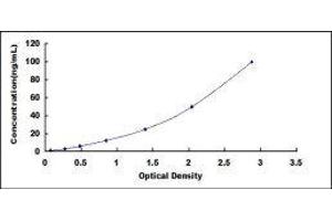 Prostaglandin E Synthase (PTGES) ELISA Kit