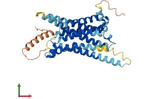 AlphaFold protein structure predicition of Human Recombinant MC4R Protein, UniprotID P32245