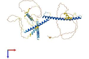 AlphaFold protein structure predicition of Mouse Recombinant Tfeb Protein, UniprotID Q9R210