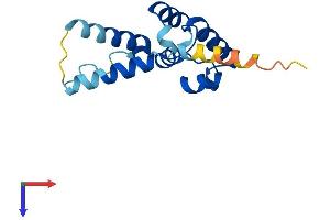 AlphaFold protein structure predicition of Mouse Recombinant Crcp Protein, UniprotID O35427