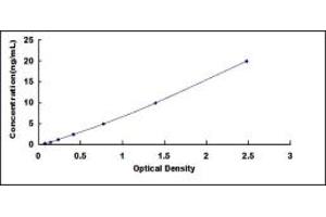 ELISA image for Transforming Growth Factor, beta Receptor 1 (TGFBR1) ELISA Kit (ABIN431362)