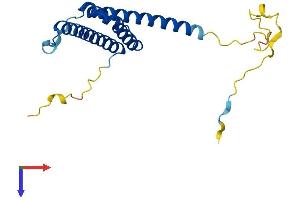 AlphaFold protein structure predicition of Mouse Recombinant Rd3 Protein, UniprotID Q8BRE0