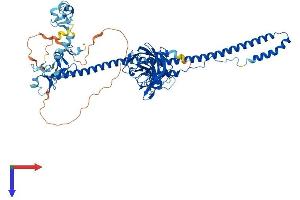 AlphaFold protein structure predicition of Human Recombinant TRIM9 Protein, UniprotID Q9C026