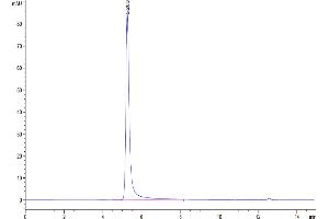 The purity of Biotinylated Human Claudin 6 VLP is greater than 95 % as determined by SEC-HPLC. (Claudin 6 Protein-VLP (CLDN6) (AA 1-220) (Biotin))