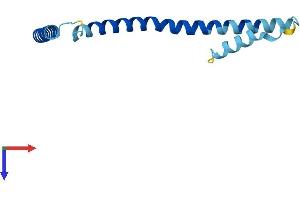 AlphaFold protein structure predicition of Human Recombinant SKA2 Protein, UniprotID Q8WVK7
