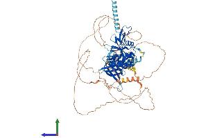 AlphaFold protein structure predicition of Mouse Recombinant Epb41l5 Protein, UniprotID Q8BGS1