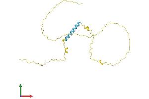 AlphaFold protein structure predicition of Human Recombinant TCEAL3 Protein, UniprotID Q969E4