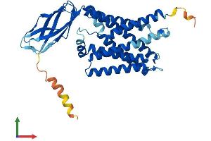 AlphaFold protein structure predicition of Human Recombinant CTNS Protein, UniprotID O60931