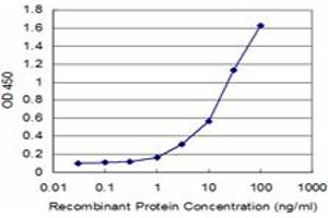 Detection limit for recombinant GST tagged FTL is approximately 1ng/ml as a capture antibody. (FTL anticorps)