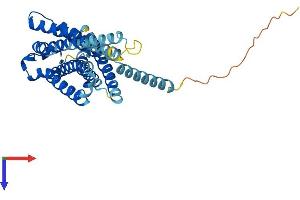 AlphaFold protein structure predicition of Mouse Recombinant Gpr119 Protein, UniprotID Q7TQP3