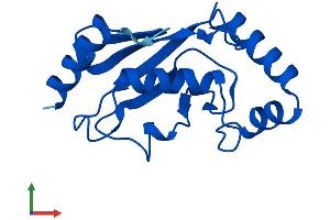 AlphaFold protein structure predicition of Human Recombinant UBE2D4 Protein, UniprotID Q9Y2X8