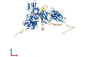 AlphaFold protein structure predicition of Mouse Recombinant Capn10 Protein, UniprotID Q9ESK3