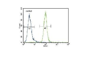 anti-Ectonucleotide Pyrophosphatase / phosphodiesterase 2 (ENPP2) (AA 377-406) antibody