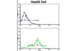 Flow cytometric analysis of HepG2 cells using CEAC Antibody (N-term)(bottom histogr) compared to a negative control cell (top histogr).
