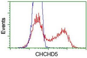 Image no. 4 for anti-Coiled-Coil-Helix-Coiled-Coil-Helix Domain Containing 5 (CHCHD5) (AA 1-110) antibody (ABIN1490560) (CHCHD5 anticorps  (AA 1-110))