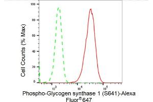 Flow cytometric analysis of Phospho-Glycogen synthase 1 (S641) expression in HepG2 cells using Phospho-Glycogen synthase 1 (S641) antibody (ABIN7798774), 1:2,000). (Recombinant Glycogen Synthase 1 anticorps  (pSer641))