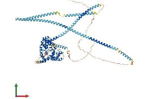 AlphaFold protein structure predicition of Human Recombinant EVI5L Protein, UniprotID Q96CN4