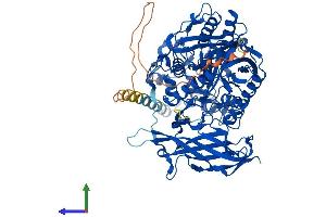 AlphaFold protein structure predicition of Human Recombinant ASAH2 Protein, UniprotID Q9NR71