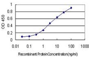 Detection limit for recombinant GST tagged FOXR2 is approximately 0. (FOXR2 anticorps  (AA 1-311))