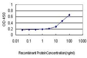 Detection limit for recombinant GST tagged LMO3 is approximately 3ng/ml as a capture antibody. (LMO3 anticorps  (AA 91-146))