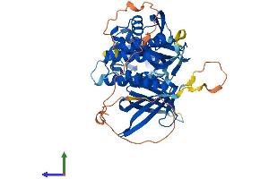 AlphaFold protein structure predicition of Mouse Recombinant Snx17 Protein, UniprotID Q8BVL3