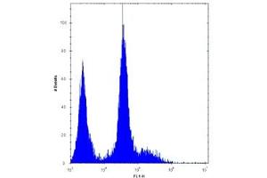 anti-Platelet Derived Growth Factor Receptor alpha (PDGFRA) (AA 1048-1077) antibody
