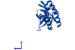 AlphaFold protein structure predicition of Mouse Recombinant Tpt1 Protein, UniprotID P63028