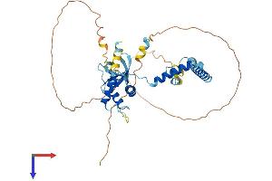 AlphaFold protein structure predicition of Human Recombinant SEC62 Protein, UniprotID Q99442