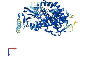 AlphaFold protein structure predicition of Human Recombinant CYP8B1 Protein, UniprotID Q9UNU6