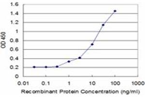 Detection limit for recombinant GST tagged DCK is approximately 1ng/ml as a capture antibody. (DCK anticorps  (AA 161-260))