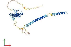 AlphaFold protein structure predicition of Mouse Recombinant Dnajc30 Protein, UniprotID P59041